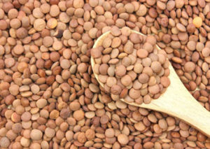 レンズ豆は、豆の中でも糖質が多く含まれている